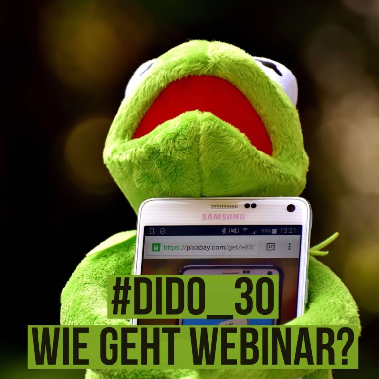 dido_30 Wie geht Webinar? 5 Fragen ans Webinar Blog der Referentinnen Akademie